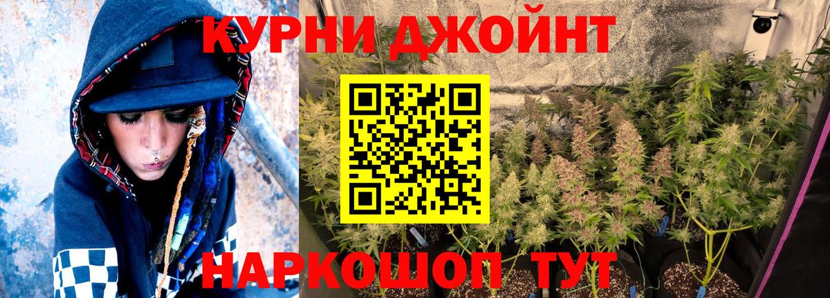 Шишки марихуана OG Kush Богородск